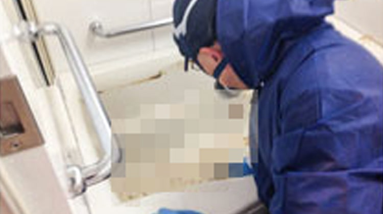 特殊清掃現場のお風呂場で害虫を駆除する遺品整理ロードの男性スタッフ