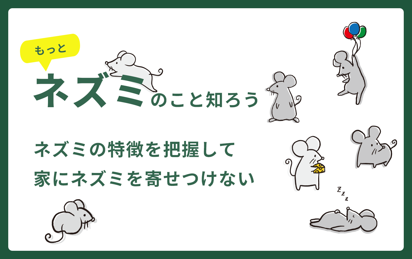 もっとネズミのことを知ろう　ネズミの特徴を把握して、家にネズミを寄せつけない